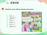 人教新目标版英语七年级下册 Unit 5 Why do you like pandas？Section A (1a-2d)课件