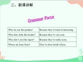 人教新目标版英语七年级下册 Unit 5 Why do you like pandas？Section A (3a-3c)课件