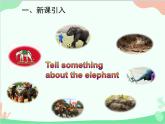 人教新目标版英语七年级下册 Unit 5 Why do you like pandas？Section B (3a-Self Check)课件