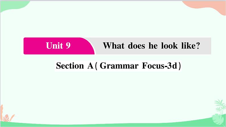 2.Unit 9 Section  A(Grammar  Focus-3d)第1页