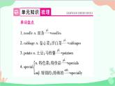 人教新目标版英语七年级下册 Unit 10习题课件