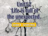 【公開賽課】人教初中英語課件九全Unit 12 Life is full of the expected. Section B 3 a-Self Check 課件+音視頻