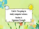 人教版英语八年级上册 Unit 6 第2课时（Section A Grammar Focus-3c） PPT课件