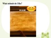 Unit 5 Why do you like pandas Section B 2a-2c课件2023-2024学年人教版初中英语七年级下册