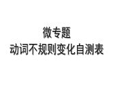 2024内蒙古中考英语二轮复习 微专题 动词不规则变化自测表（课件）