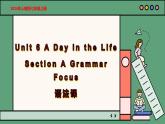 2024年新版人教版七年级上册英语Unit 6 课时3 Section A（Grammar Focus） 同步课件+同步