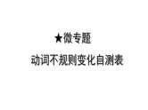 2024山东中考英语二轮复习 微专题 动词不规则变化自测表（课件）