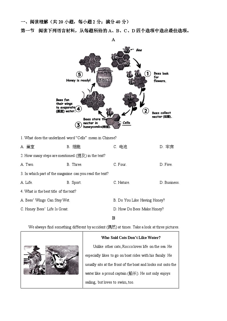 精品解析：辽宁省沈阳市沈河区2023-2024学年七年级下学期期末考试英语试题（原卷版）第3页