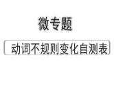 2024云南中考英语二轮复习 微专题 动词不规则变化自测表（课件）