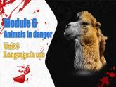 【公开赛课】外研初中英语课件8上Module 6 Animals in danger.  Unit 3 Language in use