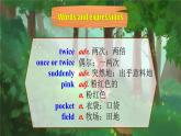 【公开赛课】外研初中英语课件八上M7U2