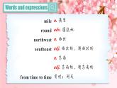 【公开赛课】外研初中英语课件八上 M10 Unit 2