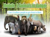 【公开赛课】外研初中英语课件8上Module 6 Animals in danger Unit 1  It allows people to get closer to them
