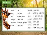 【公开赛课】外研初中英语课件8上Module 6 Animals in danger Unit 1  It allows people to get closer to them
