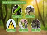 【公开赛课】外研初中英语课件8上Module 6 Animals in danger Unit 1  It allows people to get closer to them