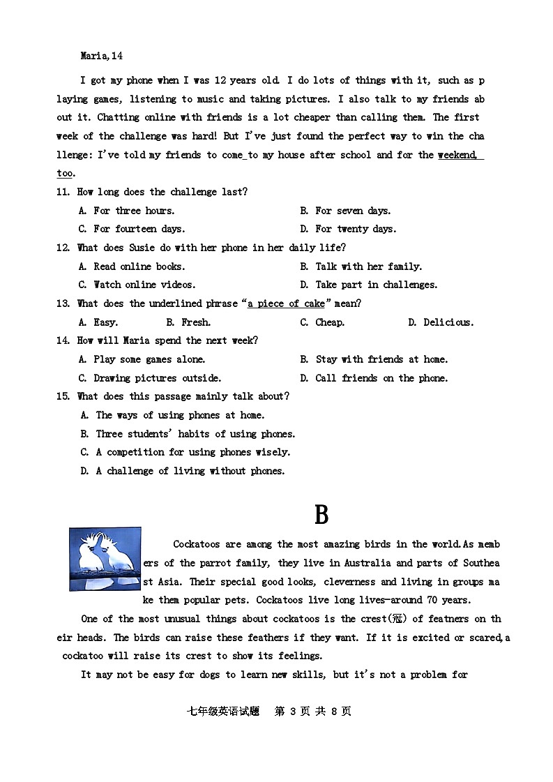 广东省深圳市龙岗区2023-2024学年七年级下学期7月期末考试英语试题第3页