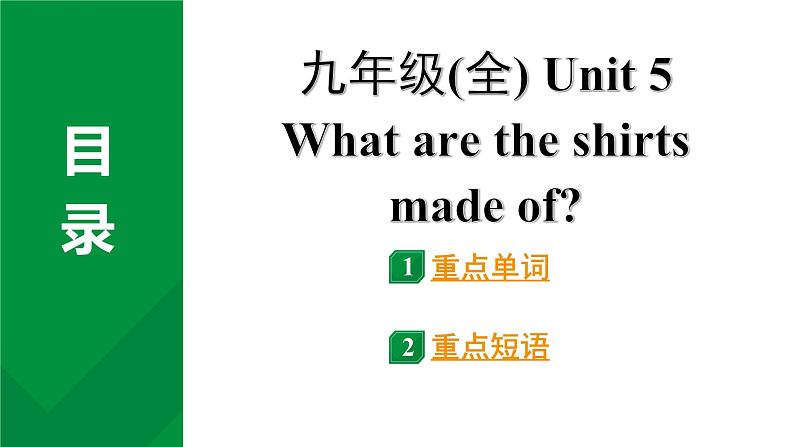 2024中考英语教材词汇默写专题 科学技术与工程,人类发明与创新  (课件)第2页