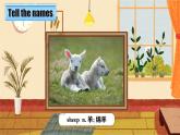 【公开赛课】外研英语初中九上课件Module 10  Unit 1 I have some photos that I took in Australia last year