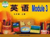 【公開(kāi)賽課】外研初中英語(yǔ)九上課件 Module 3 Unit 3 Language in use