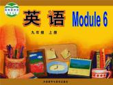 【公開(kāi)賽課】外研英語(yǔ)初中九上課件 Module 6 Unit 3 Language in use