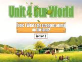 【公开赛课】仁爱初中英语课件八上Unit 4 Our World  Topic 1 SectionB