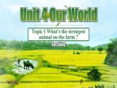 【公开赛课】仁爱初中英语课件八上Unit 4 Our World  Topic1 SectionC