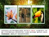 【公开赛课】仁爱初中英语课件八上Unit 4 Our World  Topic1 SectionC