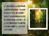 【公开赛课】仁爱初中英语课件八上Unit 4 Our World  Topic1 SectionC
