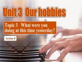 【公开赛课】仁爱初中英语课件八上Unit3 Our hobbies Topic3 SectionB