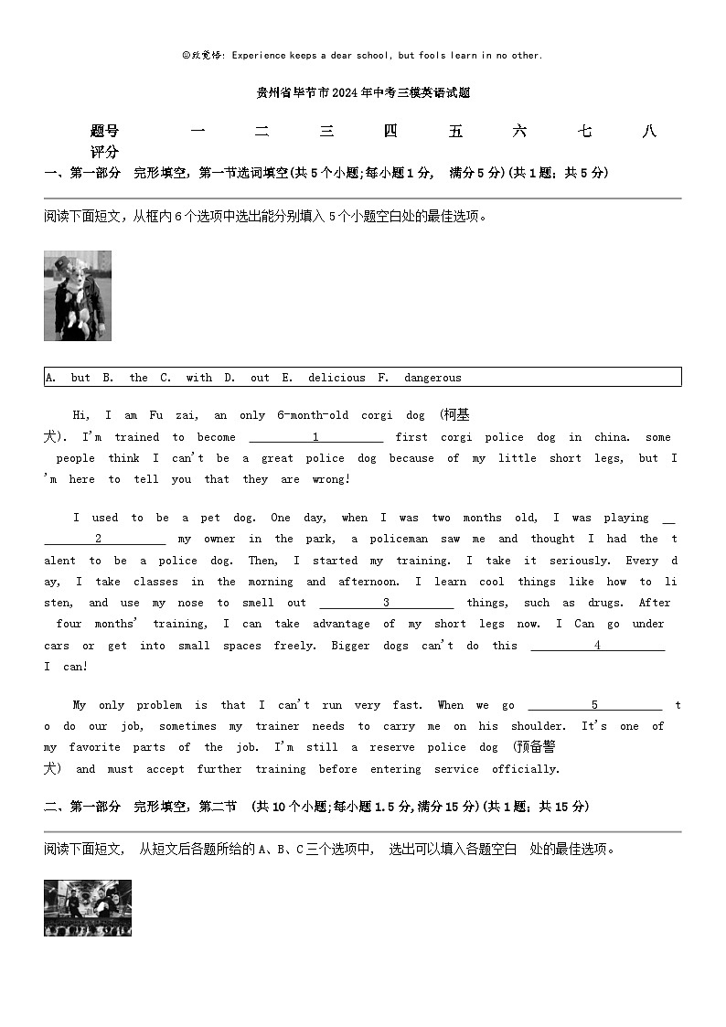 [英语]贵州省毕节市2024年中考三模英语试题01