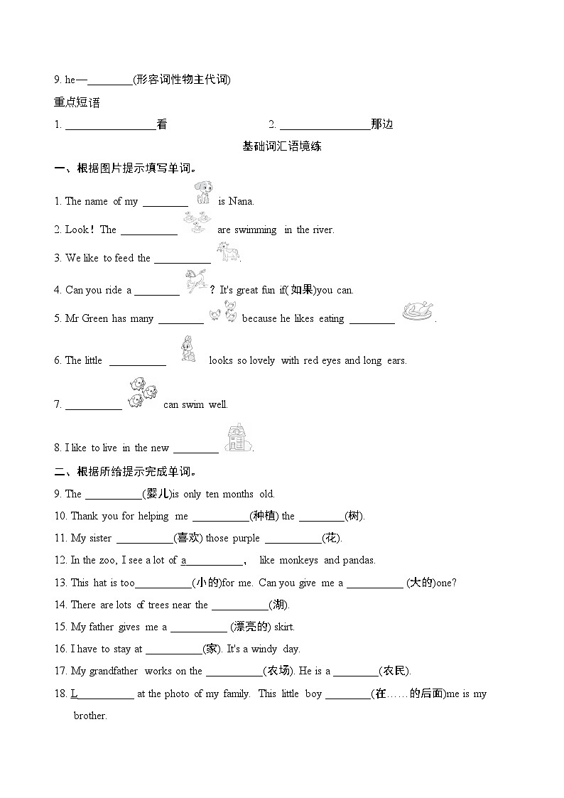 Starter  Unit 3 重点词汇 短句（试卷）2024-2025学年人教版英语七年级上册02