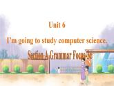 人教版英语八年级上册 Unit6 课时2. Section A  (Grammar Focus-3c) PPT课件