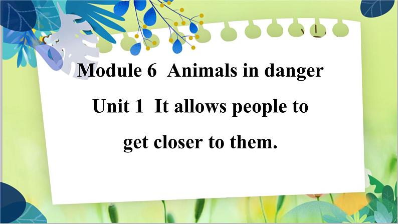 外研版英语八年级上册 M6 Unit 1 It allows people to get closer to them PPT课件+教案01