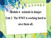 外研版英语八年级上册 M6 Unit 2 The WWF is working hard to save them all PPT课件+教案