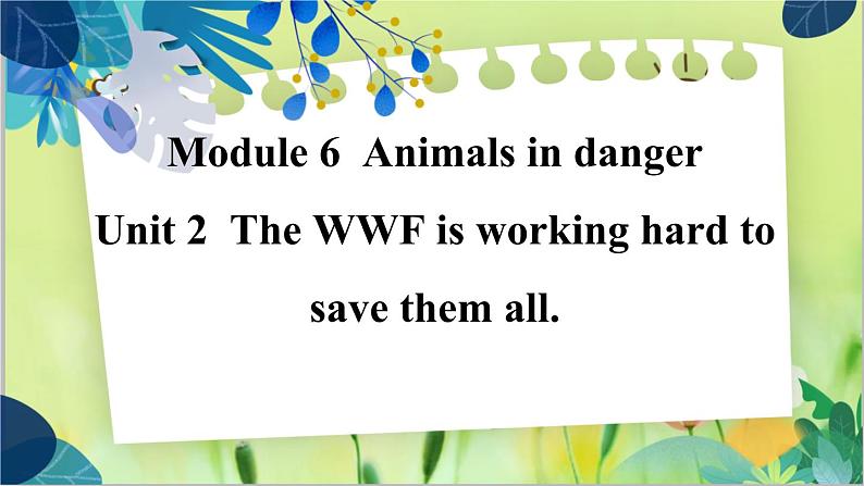 外研版英语八年级上册 M6 Unit 2 The WWF is working hard to save them all PPT课件+教案01