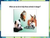 外研版英语八年级上册 M6 Unit 2 The WWF is working hard to save them all PPT课件+教案