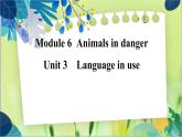 外研版英語八年級上冊 M6 Unit 3 Language in use PPT課件+教案