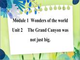 外研版英語九年級上冊 M1 Unit 2 The Grand Canyon was not just big PPT課件+教案
