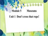 外研版英語九年級上冊 M5 Unit 1 Don't cross that rope! PPT課件+教案