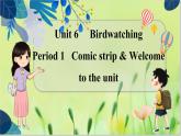 译林版英语八年级上册 Unit 6 Period 1 Comic strip & Welcome to the unit PPT课件