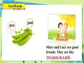 英语冀教版八年级上册 Unit 1 4. Lesson 4 Best Friends PPT课件