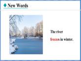 Lesson 22 I Like My Neighbourhood（课件） 2024-2025学年冀教版英语八年级上册