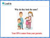 Lesson 29  DNA — The Story of  You（课件） 2024-2025学年冀教版英语九年级上册