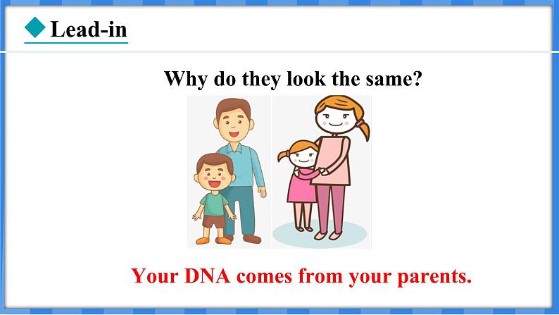 Lesson 29  DNA — The Story of  You（课件） 2024-2025学年冀教版英语九年级上册03