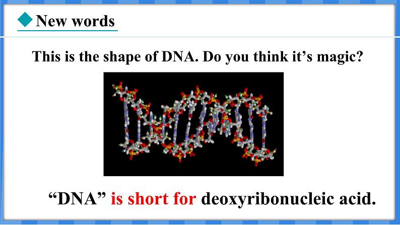 Lesson 29  DNA — The Story of  You（课件） 2024-2025学年冀教版英语九年级上册04