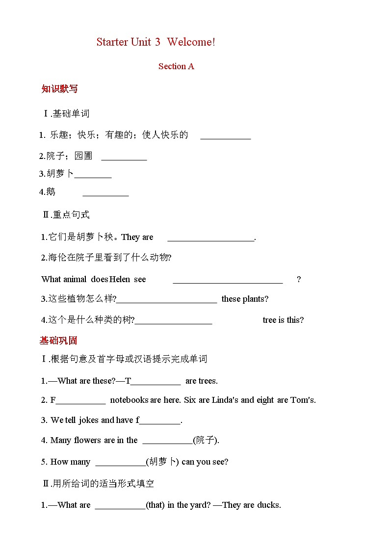 Starter Unit 3 同步练习人教版2024七年级英语上册01