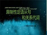 Module 2 Unit 8 Detective stories 限制性定語從句和關(guān)系代詞（課件）-2024-2025學年牛津譯林版英語九年級上冊