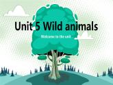 牛津译林版八上Unit5 Welcome to the unit课件PPT