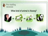 牛津译林版八上Unit5 Reading课件PPT