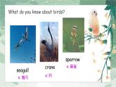 牛津译林版八上Unit6 Welcome to the unit课件PPT